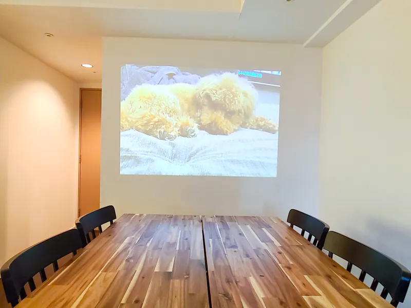 ddfa2c48 de0d 4059 8007 0d993881c31a.jpg.xlarge